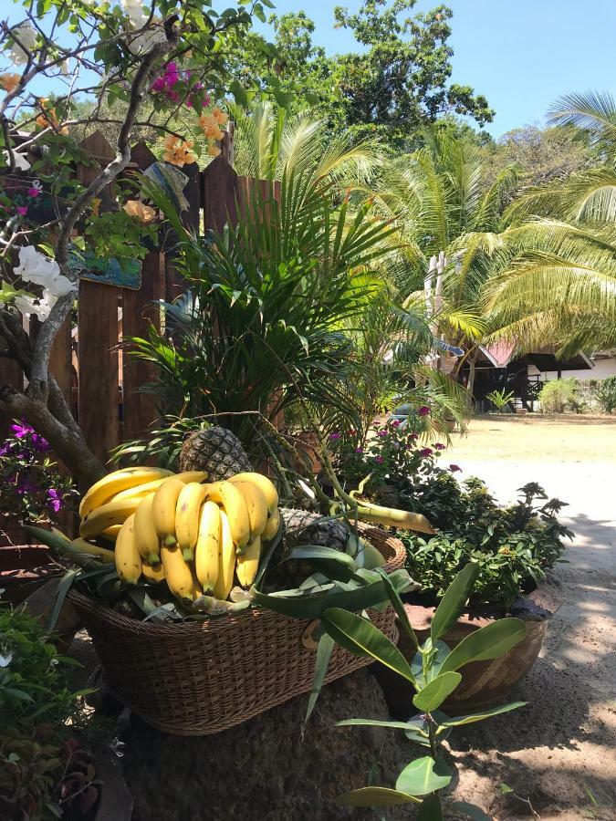Kalume' Eco Boutique Resort-Adult Only 克雷登岛 外观 照片